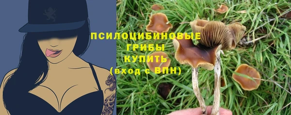 МДПВ Балахна